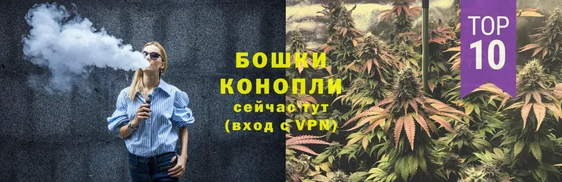 Конопля OG Kush  где купить   Ноябрьск 